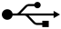 USBC icon